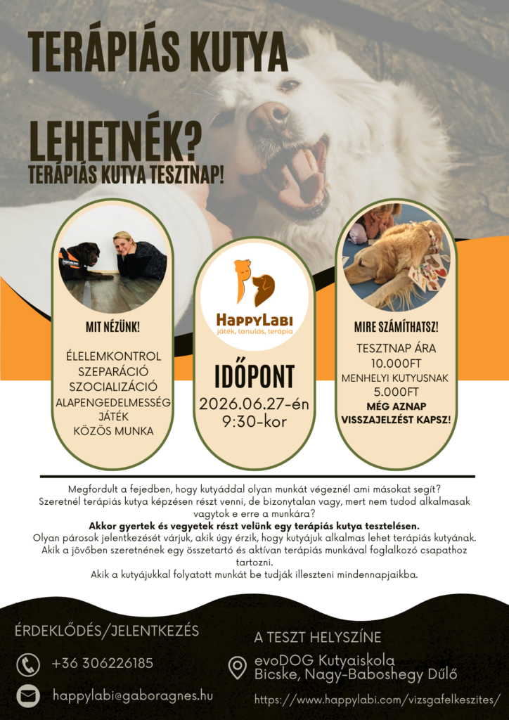 „Terápiás kutya lehetnék?”
